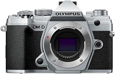Olympus OM - D E - M5 Mark III Mirrorless Camera Body (Silver) - The HDDs